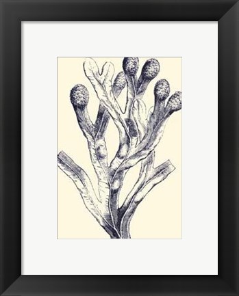 Framed Indigo Kelp II Print