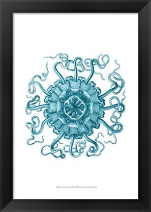 Framed Ocean Gems II Print