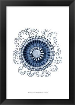 Framed Ocean Gems III Print