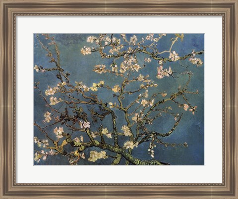 Framed Blossoming Almond Tree, Saint-Remy, c.1890 Print