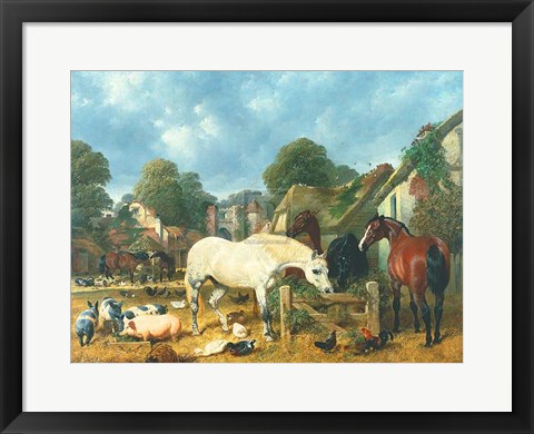 Framed In The Paddock Print