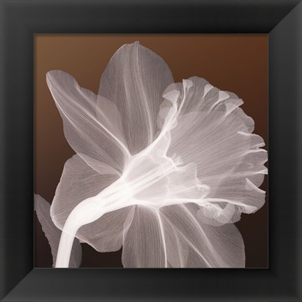 Framed Ruffled Elegance Print