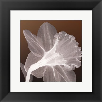 Framed Ruffled Elegance Print