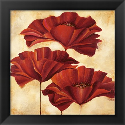 Framed Three Poppies II Print