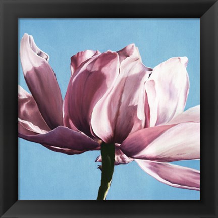 Framed Magnolia In A Cloudless Sky Print