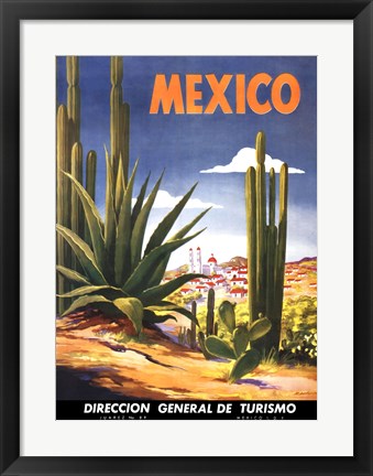 Framed Cacti, Mexico Print