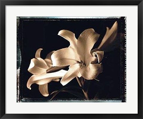 Framed Bermuda Lilies Print