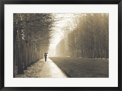 Framed Jardin De Versailles Print