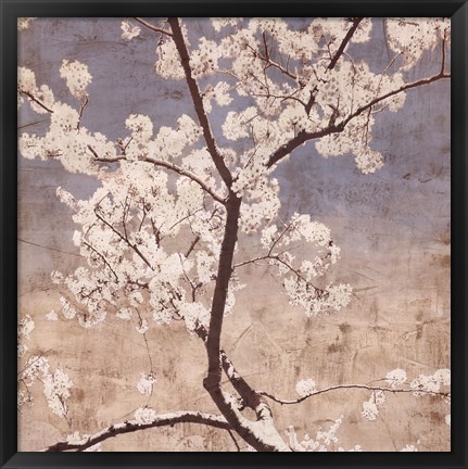 Framed Cherry Blossoms I Print