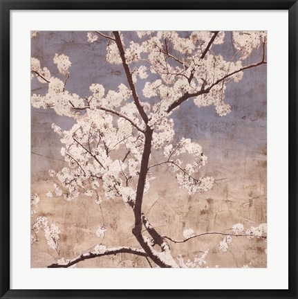 Framed Cherry Blossoms I Print