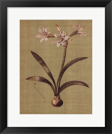 Framed Botanica Verde I Print