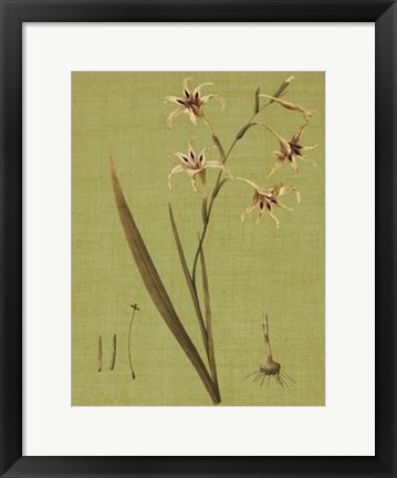 Framed Botanica Verde IV Print