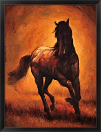 Framed Stallion I Print