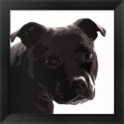 Framed Staffordshire Bull Print