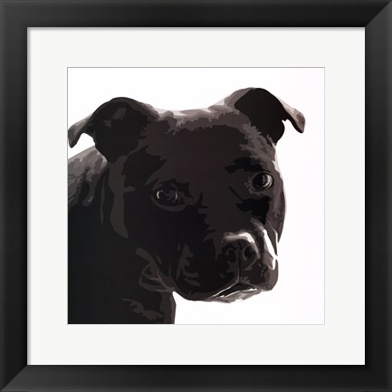 Framed Staffordshire Bull Print