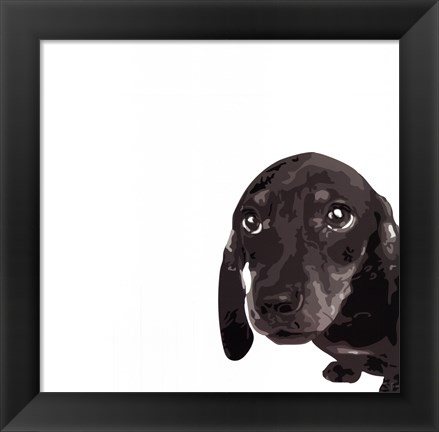 Framed Dachshund Print