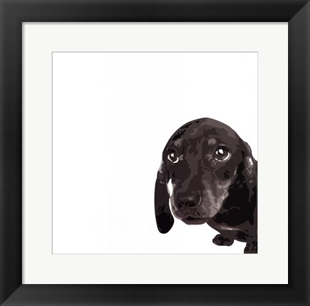 Framed Dachshund Print