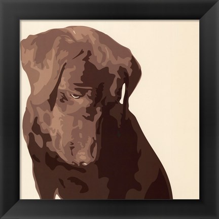 Framed Chocolate Labrador Print