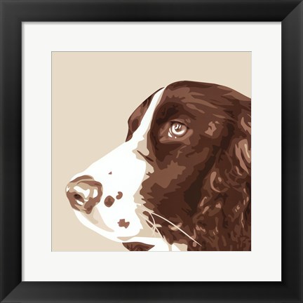 Framed Springer Spaniel Print