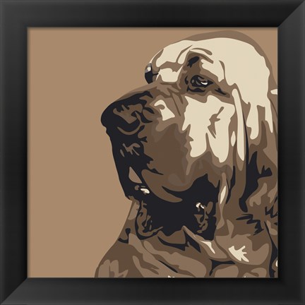 Framed Bloodhound Print