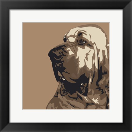 Framed Bloodhound Print