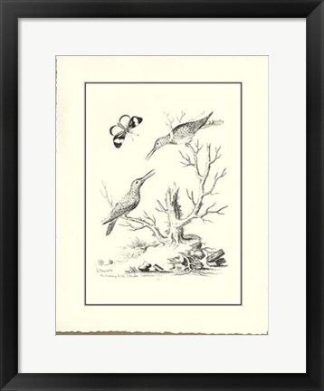 Framed B&amp;W The Hummingbirds 1742 Print