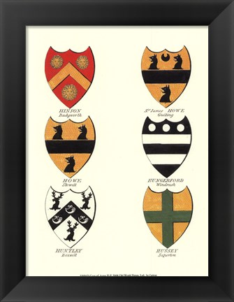 Framed Coat of Arms II Print