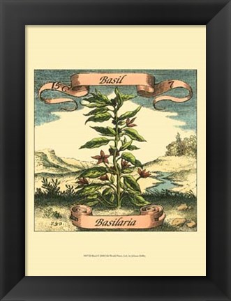 Framed Basil Print