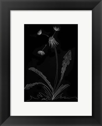 Framed Dandelion Garden I Print