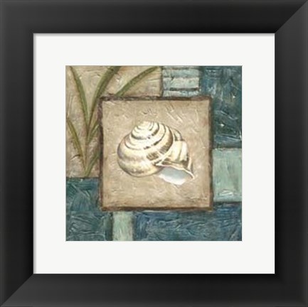 Framed Shell Montage III Print