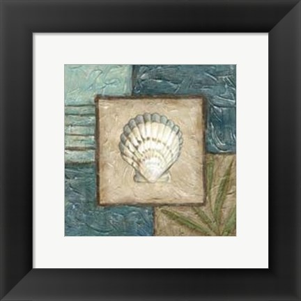 Framed Shell Montage IV Print