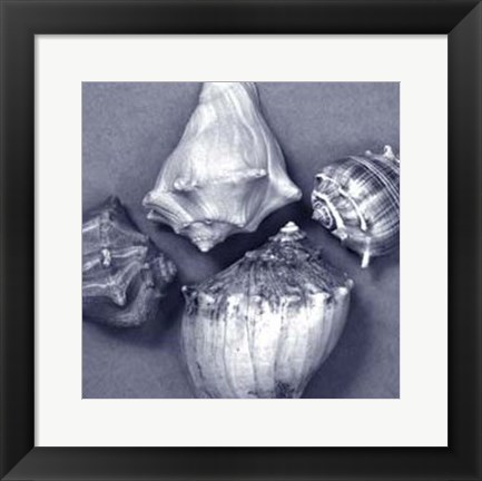 Framed Shell Convergence V Print