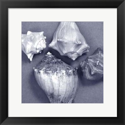 Framed Shell Convergence VI Print