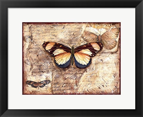 Framed Poetic Butterfly I Print