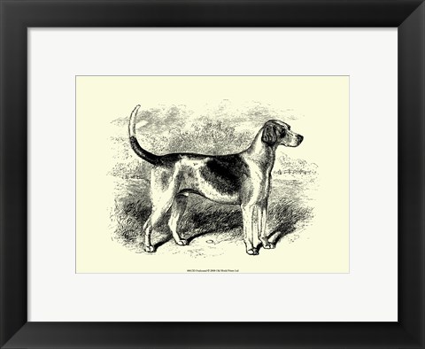 Framed Foxhound Print