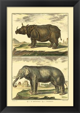 Framed Elephant and Rhino Print