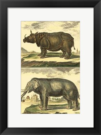 Framed Elephant and Rhino Print