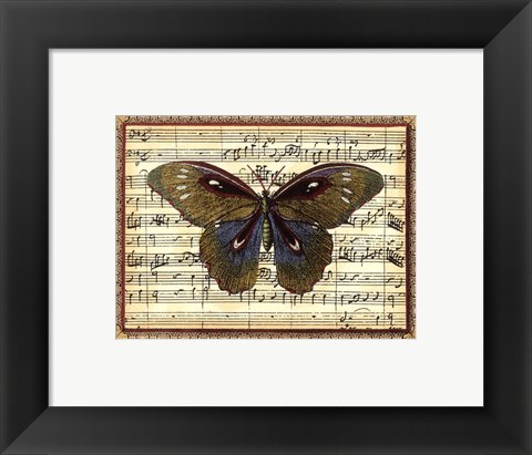 Framed Butterfly Harmony I Print