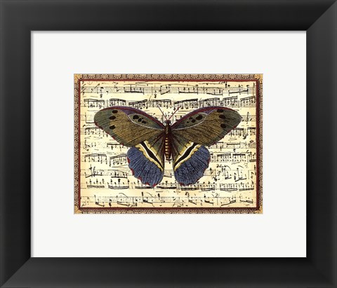 Framed Butterfly Harmony II Print