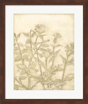 Framed Ivory Field II Print