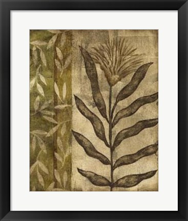 Framed Plant Exotica I Print