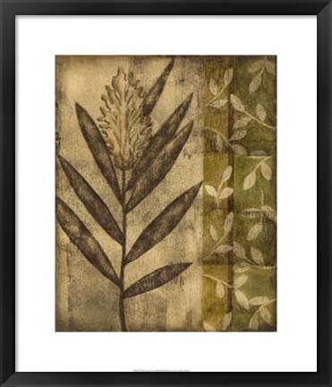 Framed Plant Exotica II Print