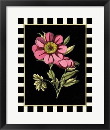 Framed Pink Peony III Print