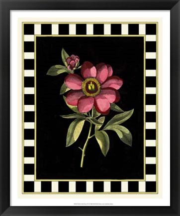 Framed Besler Pink Peony IV Print