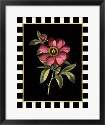 Framed Besler Pink Peony IV Print