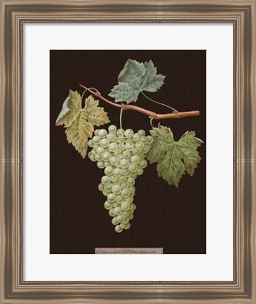 Framed White Grapes Print