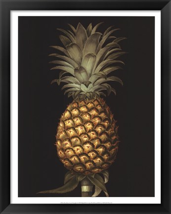 Framed Exotic Pineapple I Print