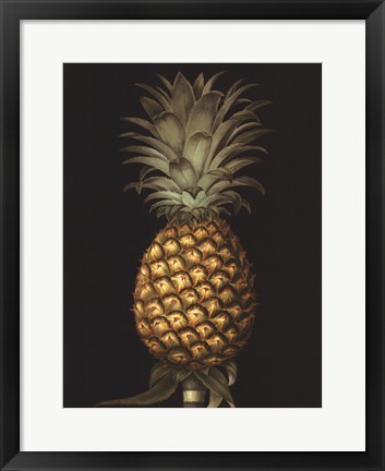 Framed Exotic Pineapple I Print