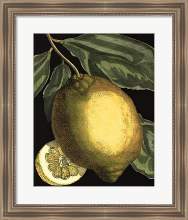 Framed Fragrant Citrus II Print