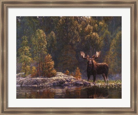 Framed North Country Moose Print